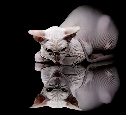 米兰体育-体育产业链资源配置效率提升机制研究，简要描述体育产业资源配置的方法  第2张