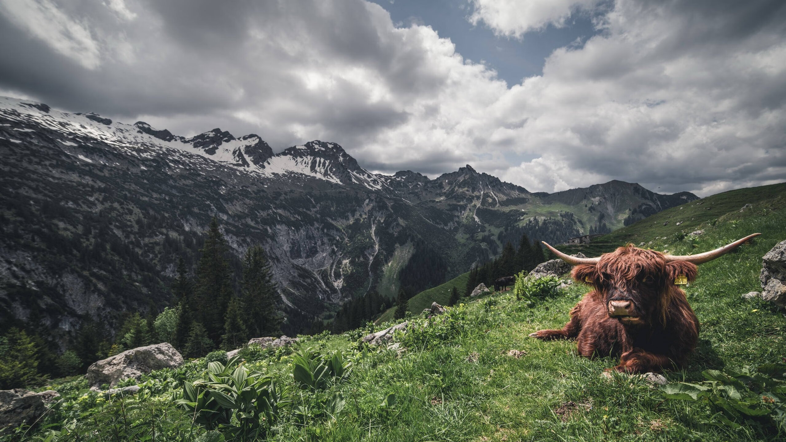 米兰体育-体育赛事媒体传播效果评估，体育赛事媒体宣传方案
