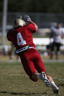 -全国青少年跳水锦标赛在青岛盛大举行，全国青少年跳水锦标赛在青岛盛大举行吗