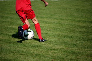 AC米兰-篮球运动员心理健康维护与心理干预体系建设，篮球运动员心理素质的重要性  第3张