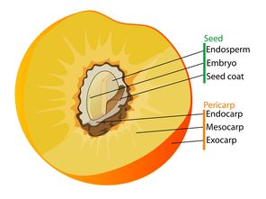 米兰体育官网-英超球队赛季中体能负荷与技术表现的关联分析,英超训练 第2张 米兰体育官网-英超球队赛季中体能负荷与技术表现的关联分析,英超训练 第2张