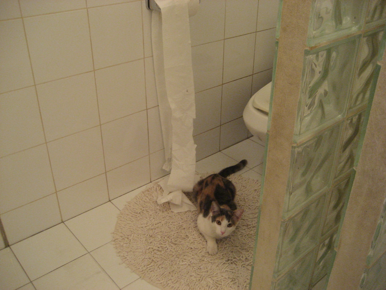 米兰登录入口-Chinese Taipei未来发展：赛事经验与全球网络建设双重驱动，taipei news