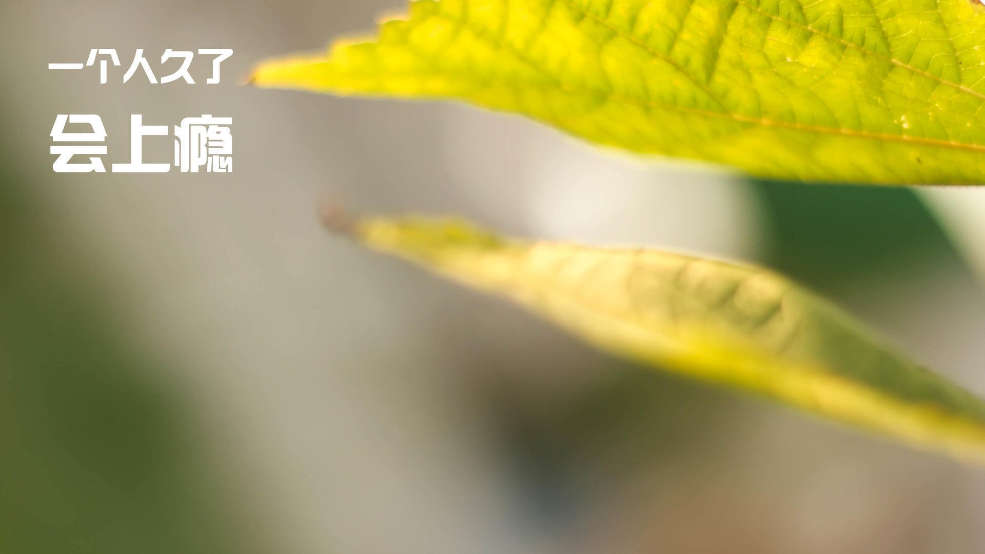 米兰体育APP-PSG教练战术布置遭遇质疑，psg教练helper