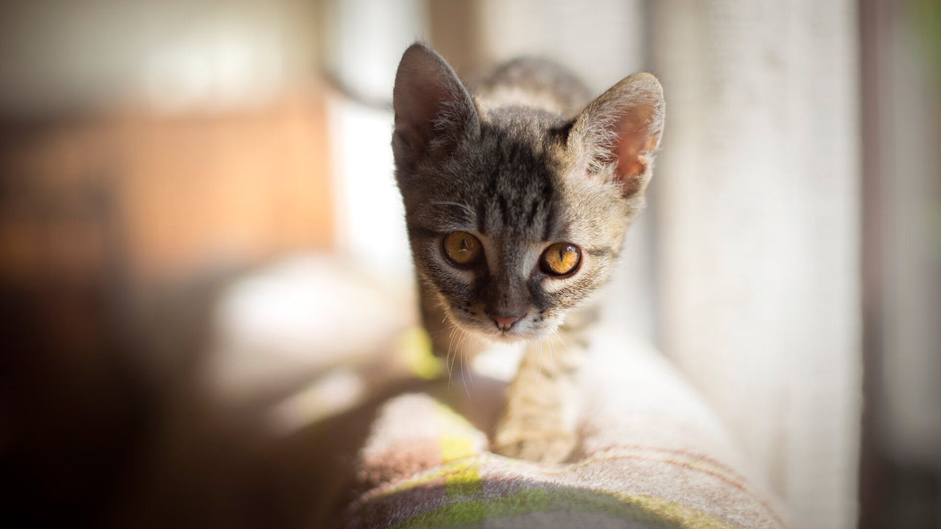 米兰体育官网-亚洲杯中国青年队爆冷 球迷信心受到打击，亚洲杯足球2021中国队