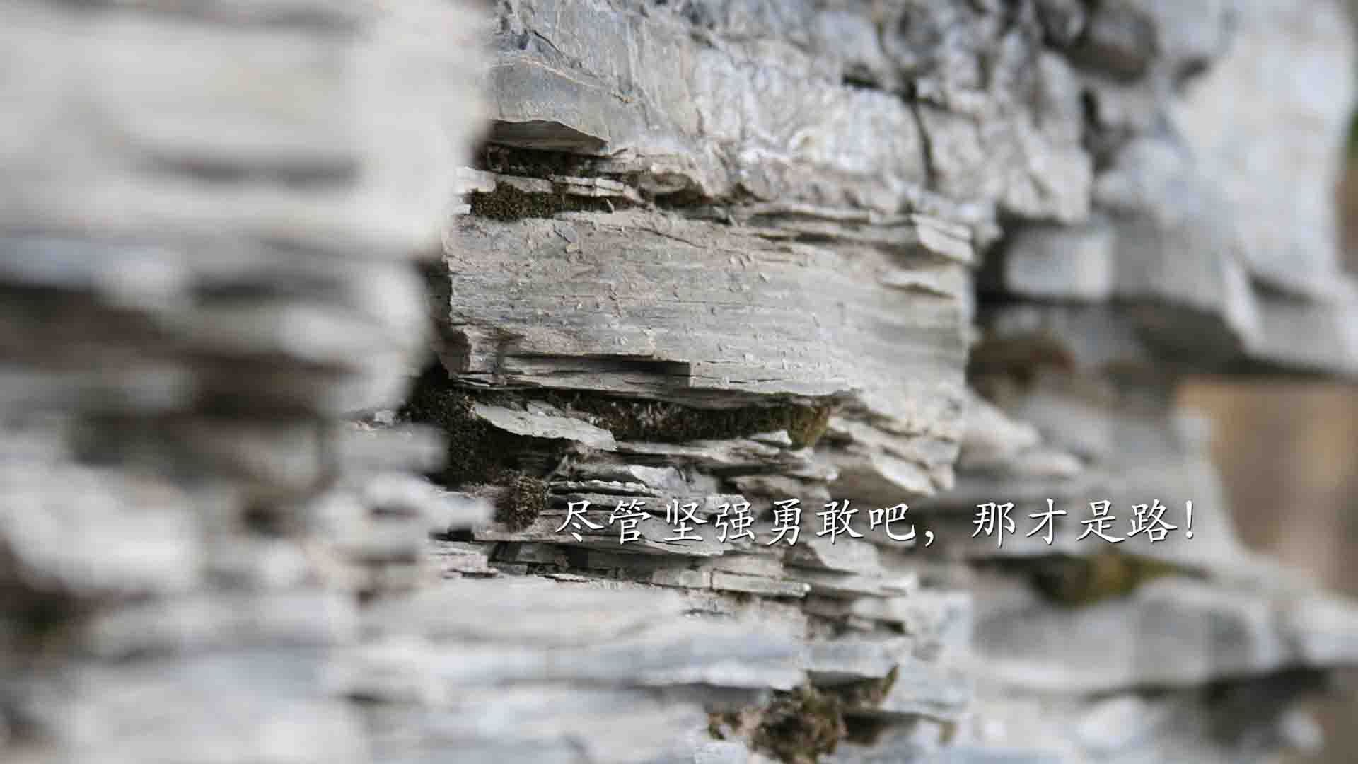 -基层教练执教路径断档明显，基层教练执教路径断档明显怎么办