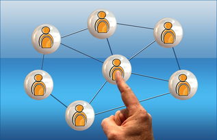 米兰体育官网-新加坡队赛制评析：通过赛制创新提升整体比赛表现，新加坡联赛什么水平