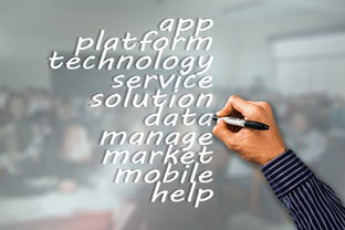 米兰体育-瑞典队未来：如何建立更具竞争力的国际品牌，瑞典队分析