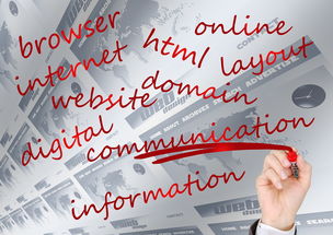 米兰体育-瑞典队未来：如何建立更具竞争力的国际品牌，瑞典队分析