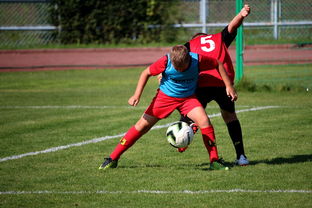 MILANSPORT下载-足球俱乐部建设标准发布 加强青训基地建设，足球俱乐部青训招生