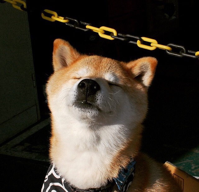 Milan Sports-Kós胜出200IM，为匈牙利拿下金牌，匈牙利 冠军