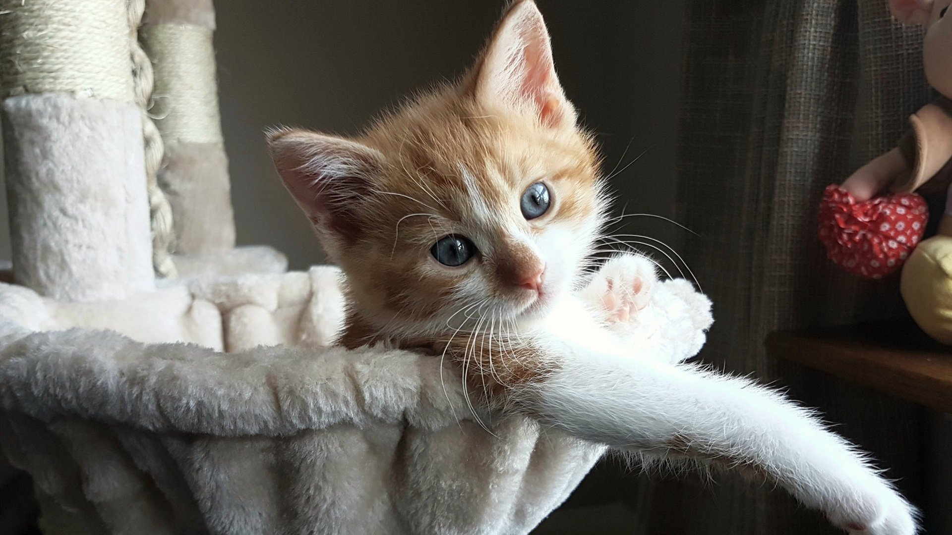 MILANSPORT入口-中国篮球推动与高校科研机构合作深化技术研发，中国篮球培养体系