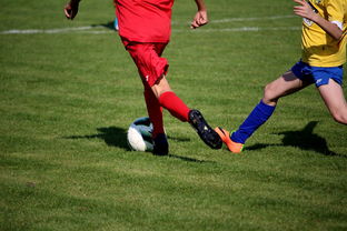 米兰体育APP-国际青少年足球锦标赛持续火热,培养未来足球明星,世界青少年足球