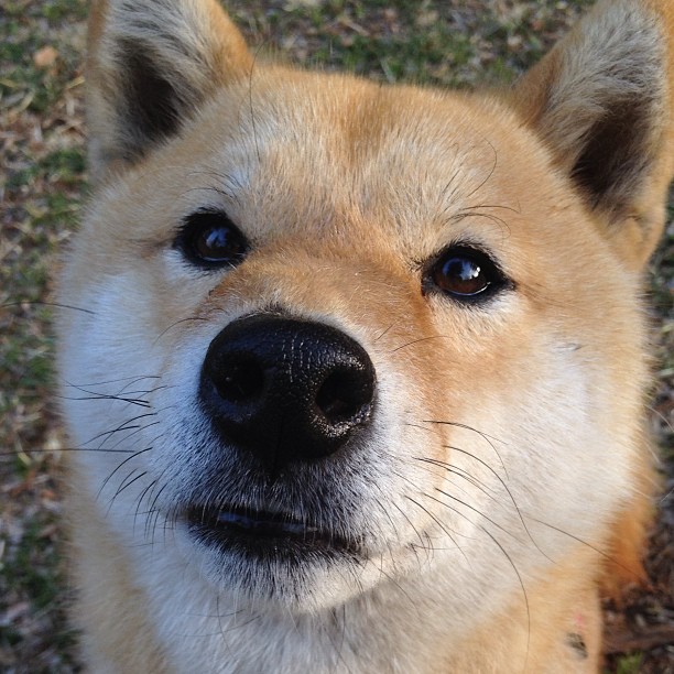 米兰登录入口-新闻中心通报运动员海外治疗及恢复计划，国外运动员退役后的待遇