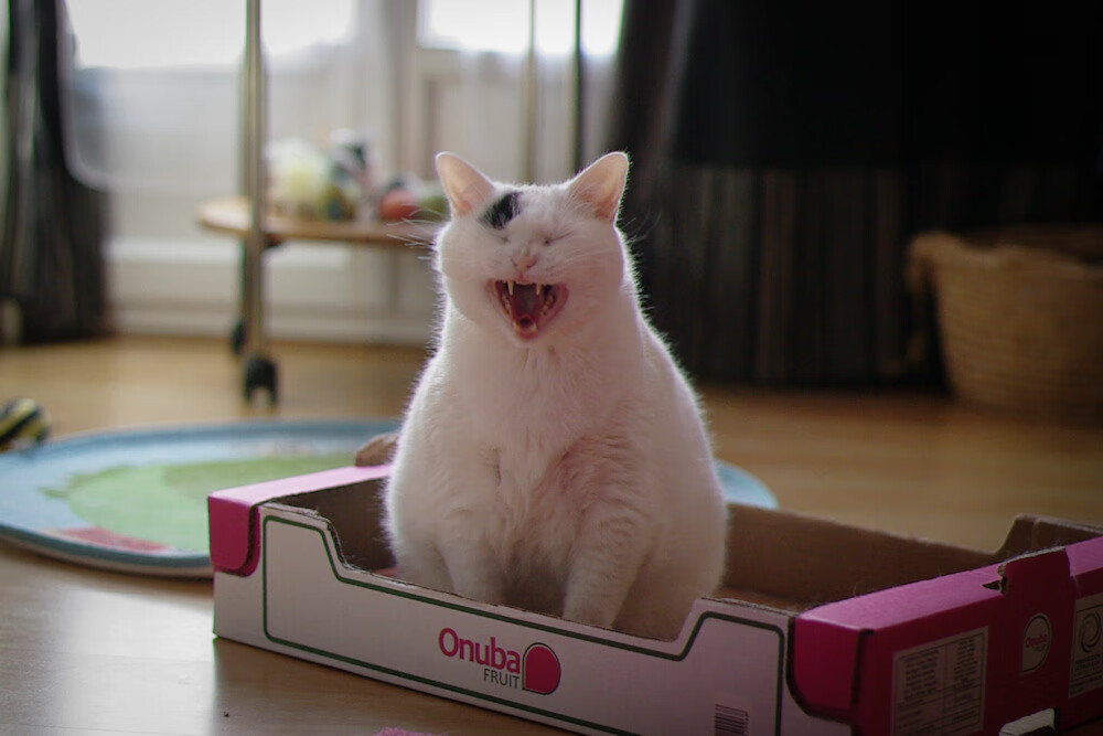 MILANSPORT下载-法甲战火重燃：锋线球星连续火力全开，法国锋线到底有多豪华