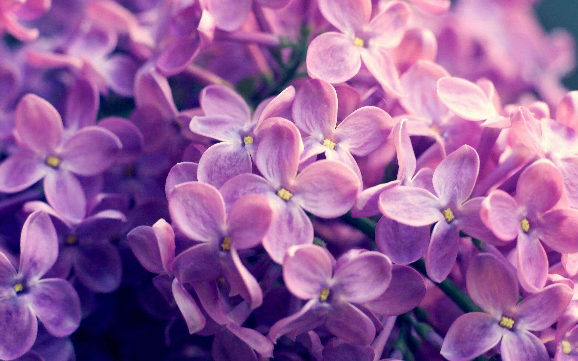 MILANSPORT下载-电子竞技城市代表队选拔方式公开透明，电子竞技入选