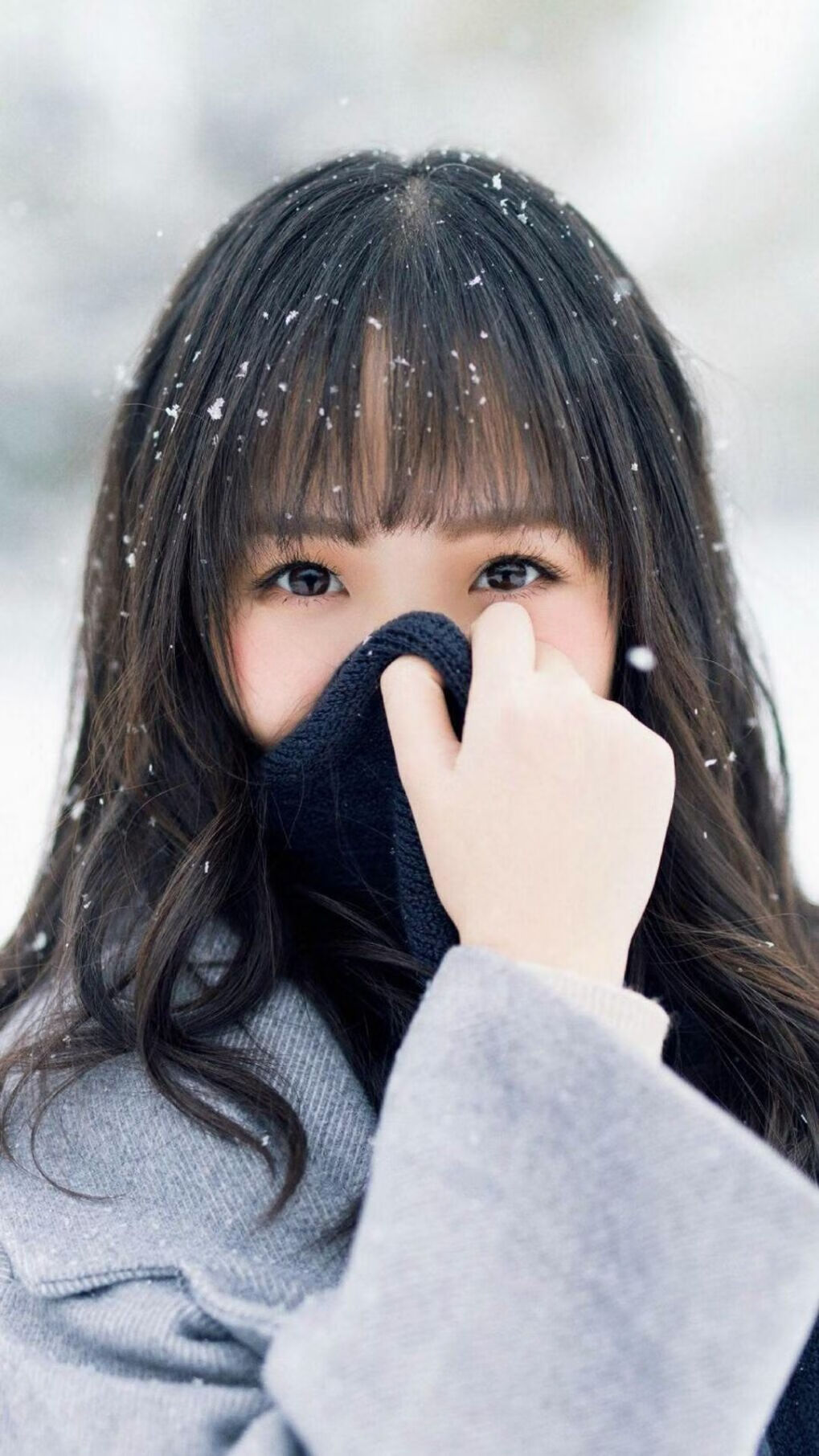 -荷兰队在欧洲预赛中表现优异，顺利晋级